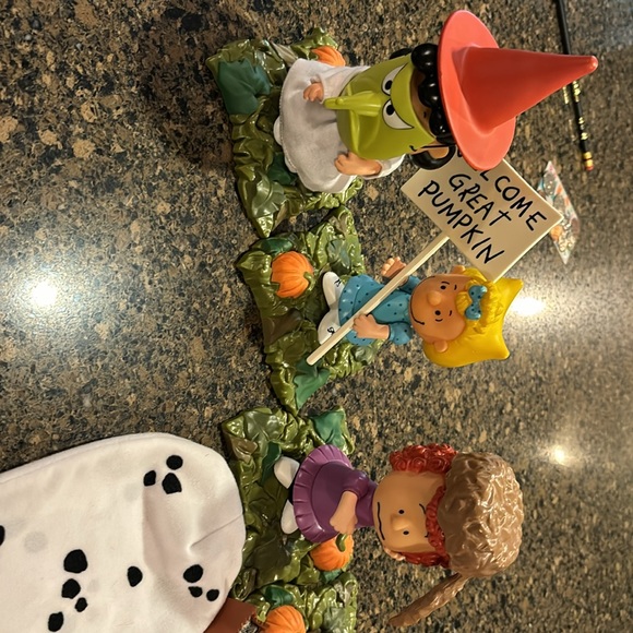 It’s the Great Pumpkin Charlie Brown - Picture 9 of 9